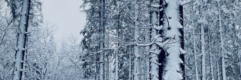 LinvanAalst's profile banner image