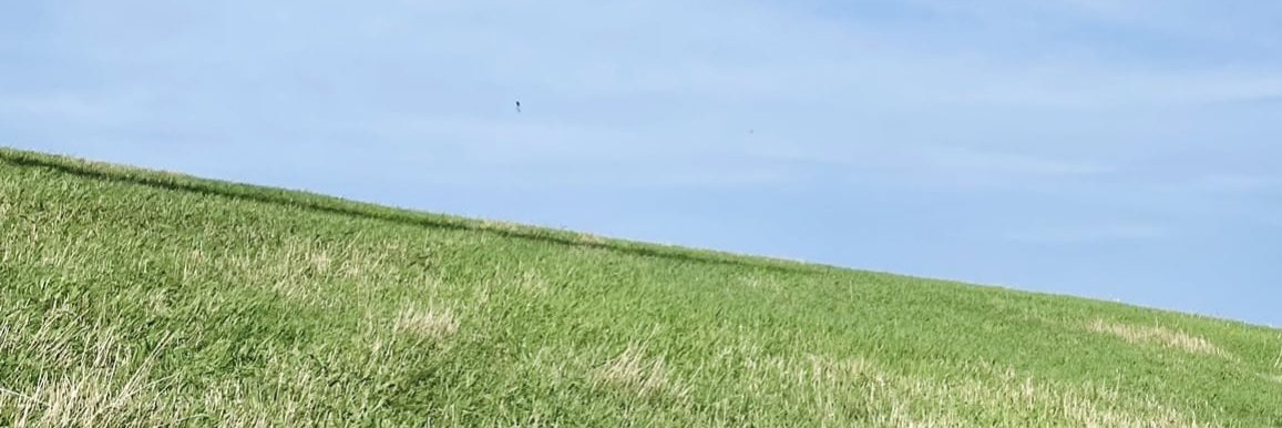 MooRunirum's profile banner image