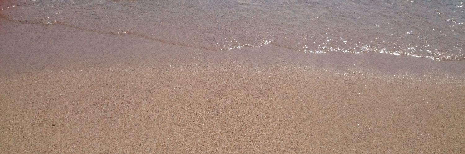 Lucio Dassie' banner