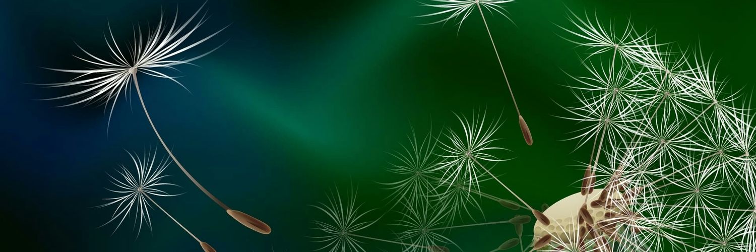 CKness1's profile banner image