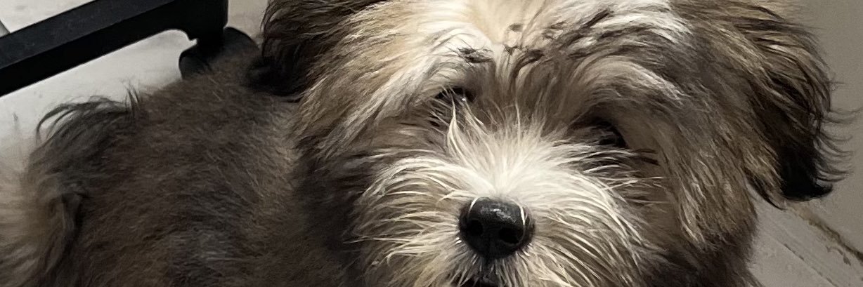 mightyali_'s profile banner image