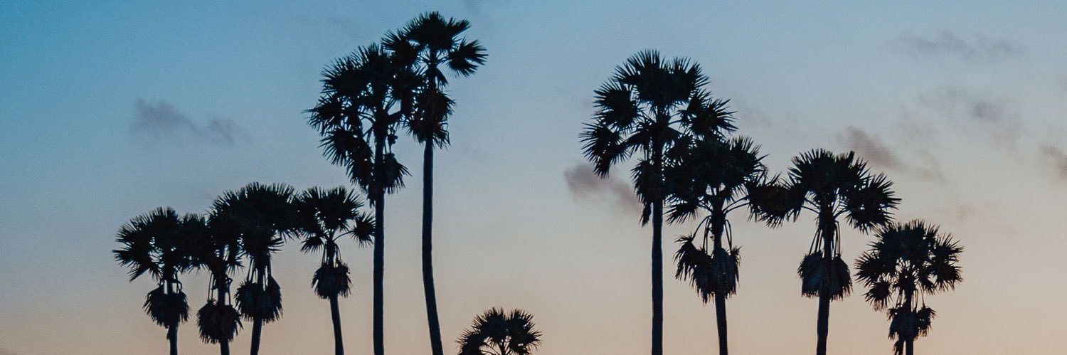 dear_common's profile banner image