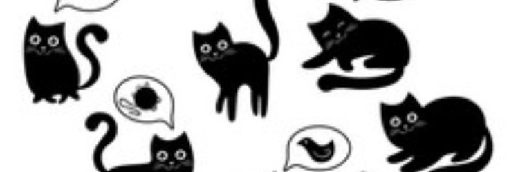 drmilller's profile banner image