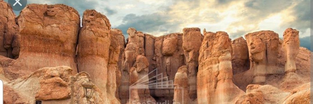 د محمد سليمان بوحليقه banner