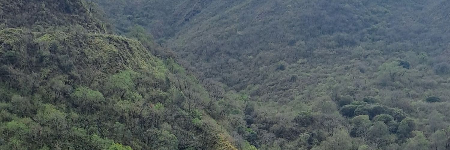 PiaBaltazar's profile banner image