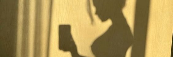 renna banner
