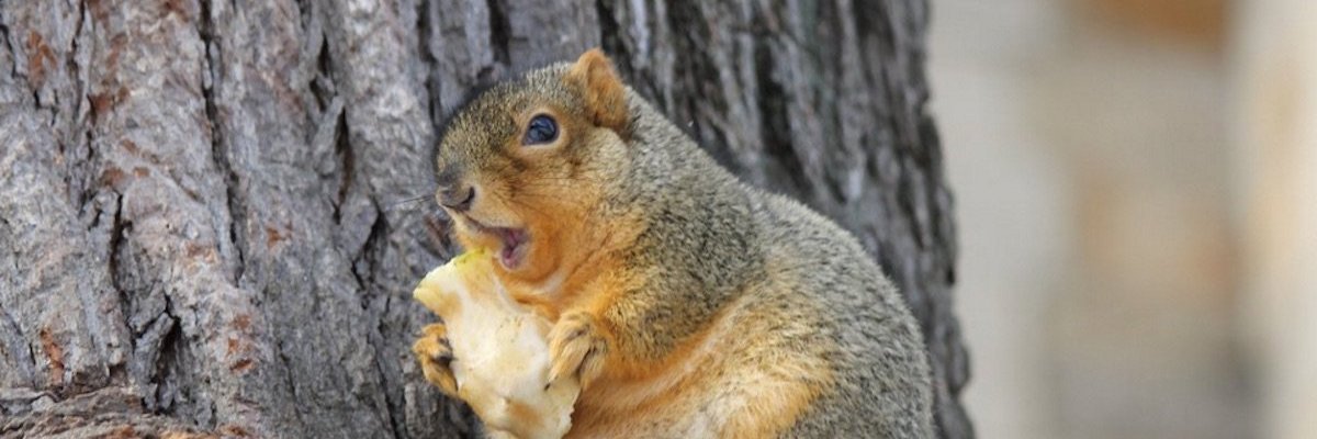 Motherfucker Man banner