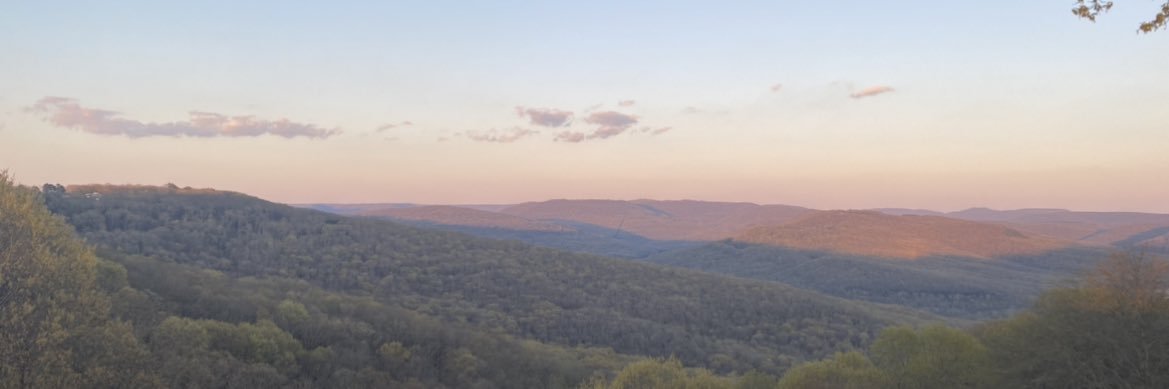 mclairedyer's profile banner image
