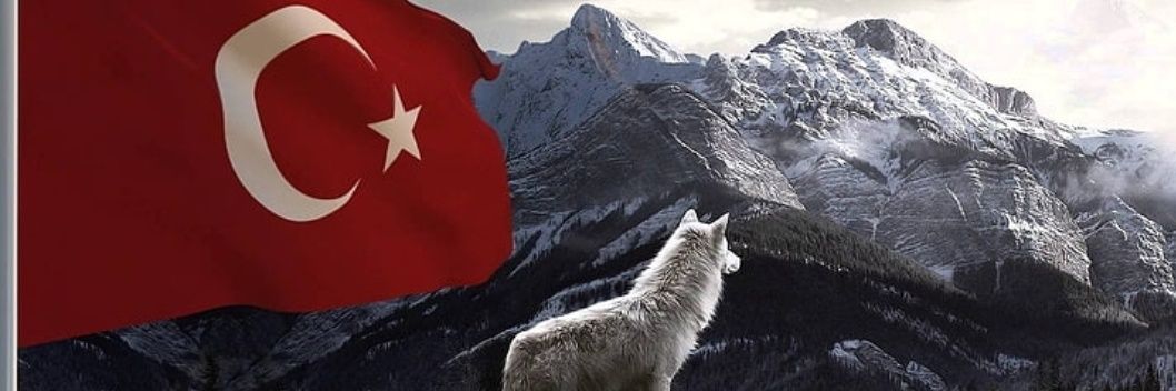 faruk 🦁🔴🟠 banner