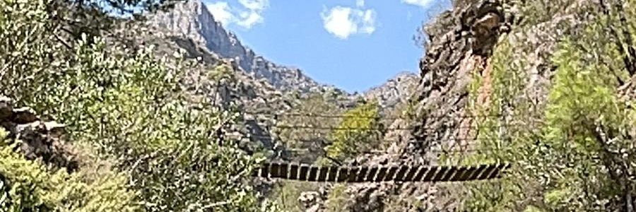 rgarmarcos's profile banner image
