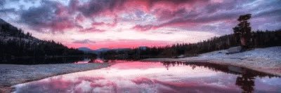 Nikki_Guerr's profile banner image