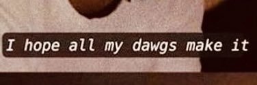 𝙟𝙞𝙯𝙯𝙡𝙚. banner