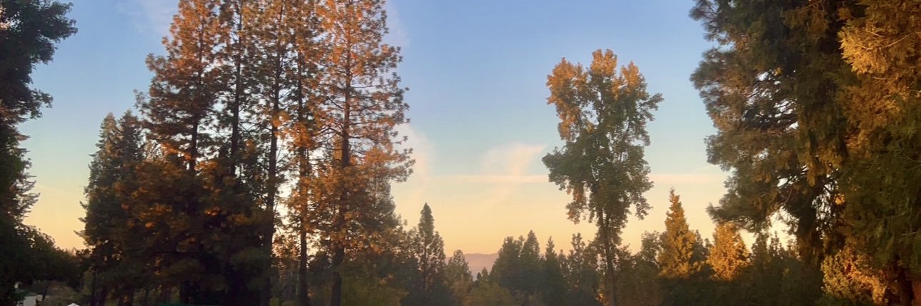 macizzle_'s profile banner image