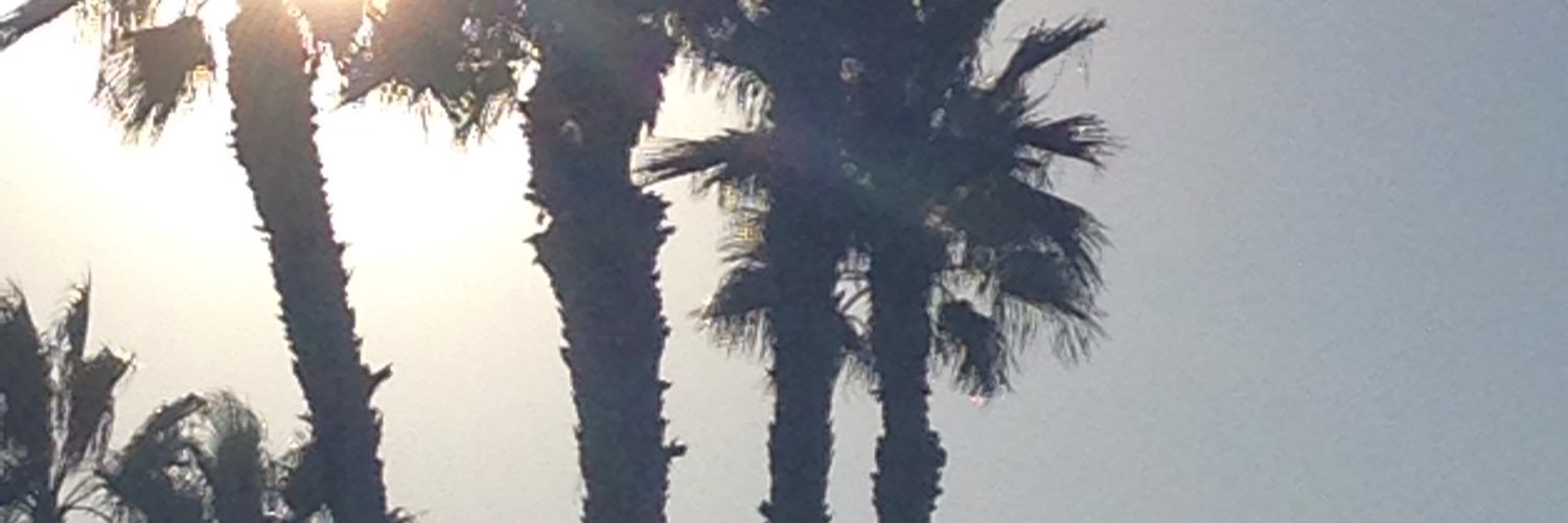 Altooma_'s profile banner image