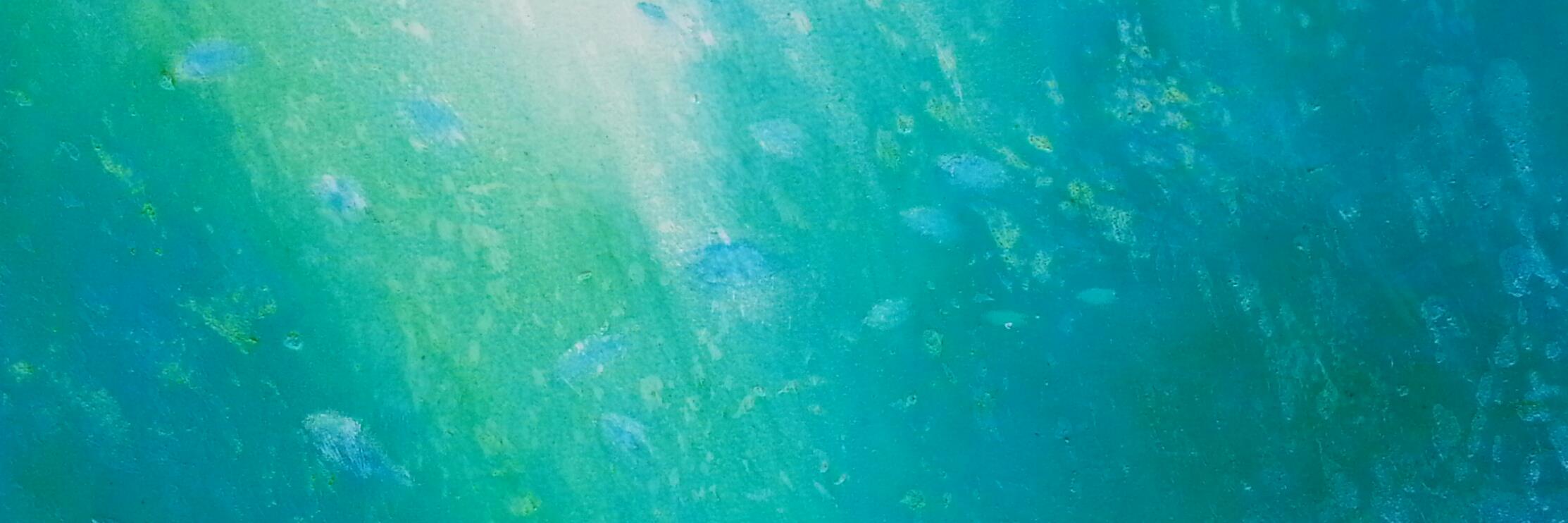 Calandra_Arte's profile banner image
