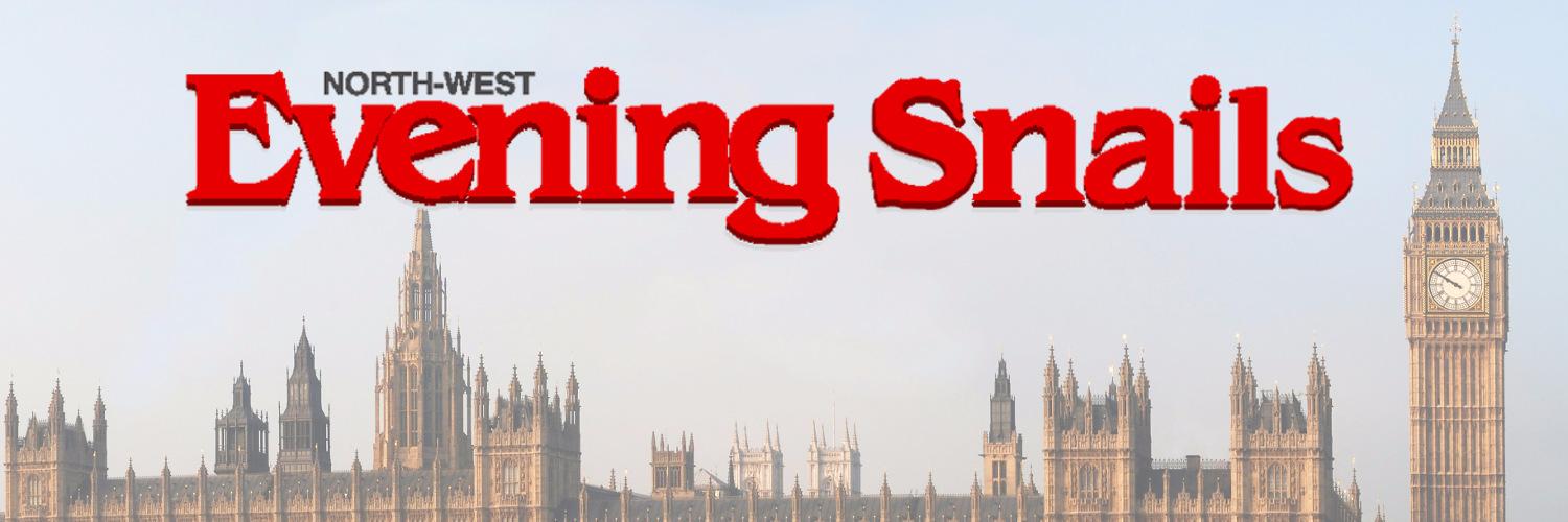 snailsNWEM's profile banner image