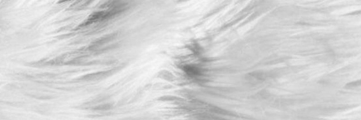 justlilbieber's profile banner image