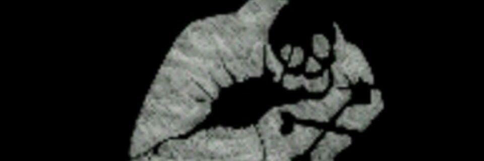 choklit12's profile banner image