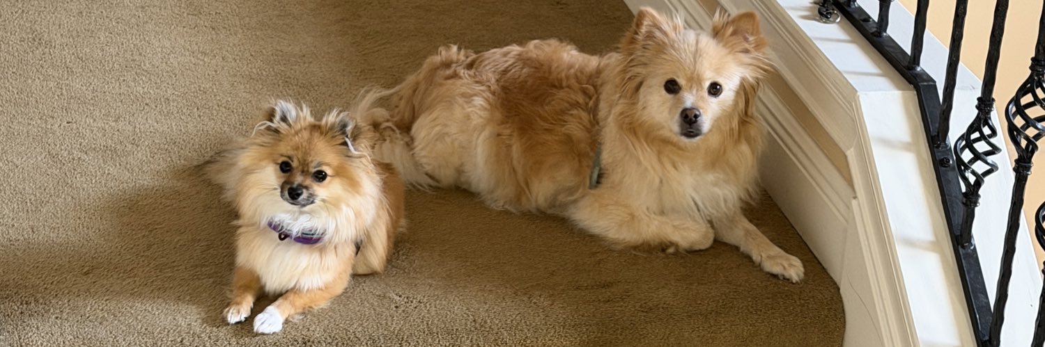 DoGsoFlo's profile banner image
