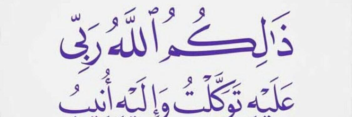 saeedsalimsaee2's profile banner image