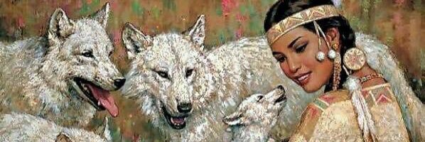 ZSiyahl's profile banner image