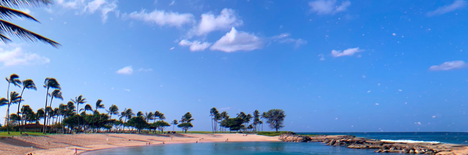 janxlo's profile banner image
