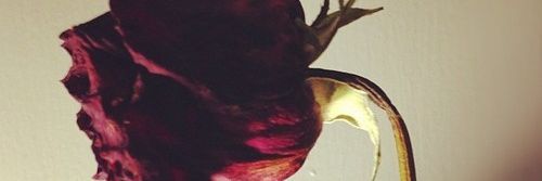 yui_billion's profile banner image