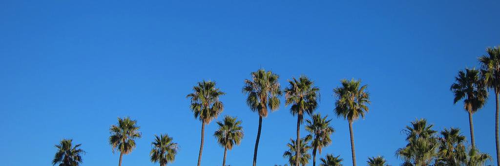 LocalJapanLA's profile banner image