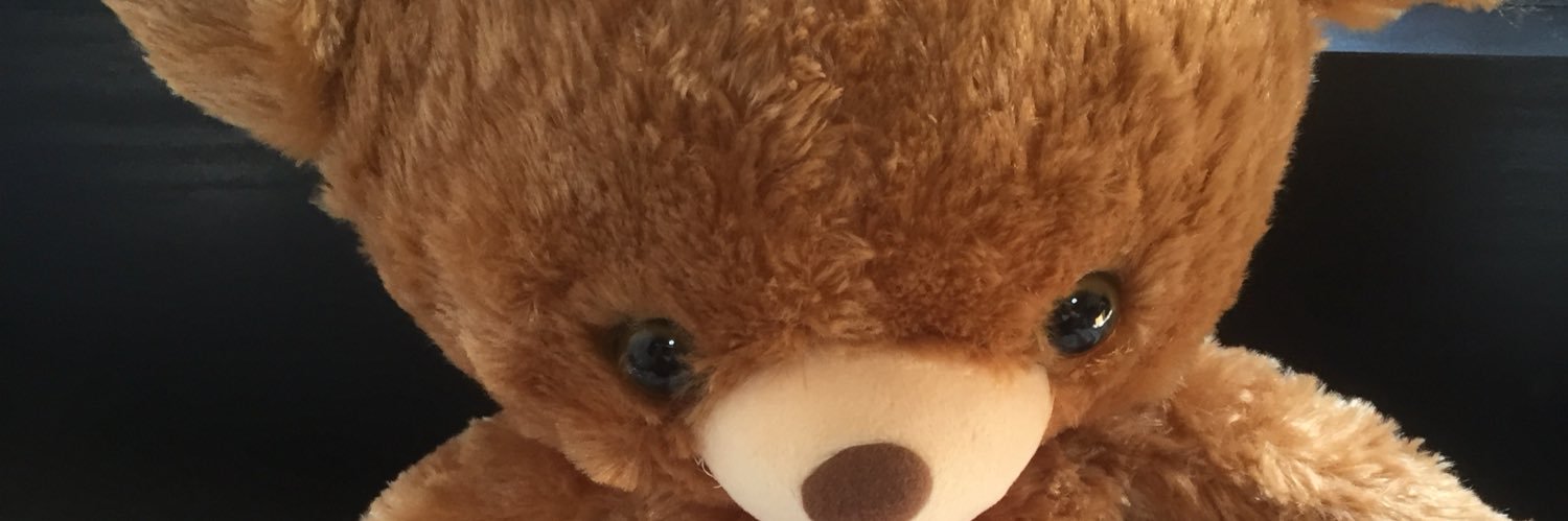 Raspippi's profile banner image