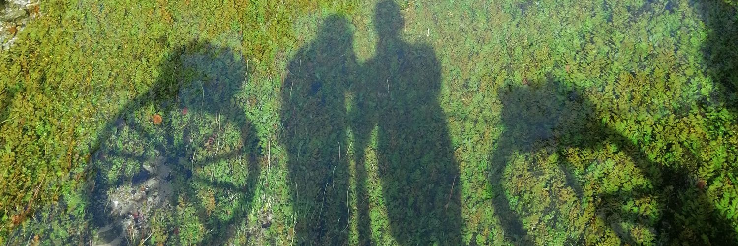 cagin35's profile banner image