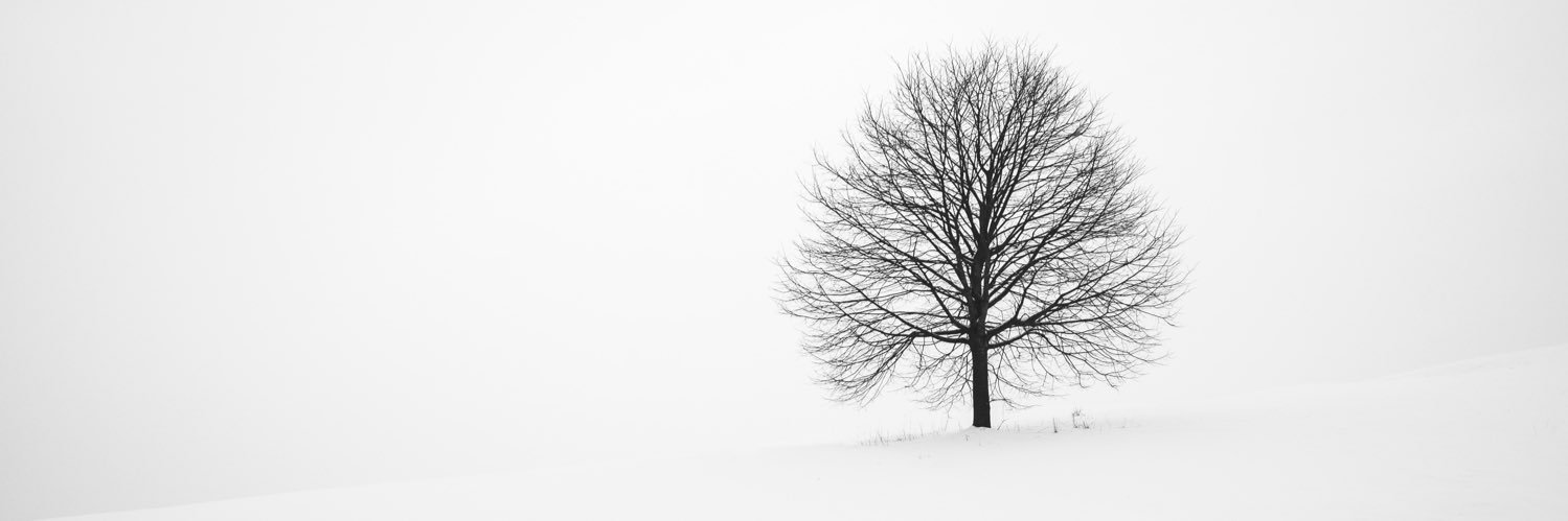 MrHAGL's profile banner image