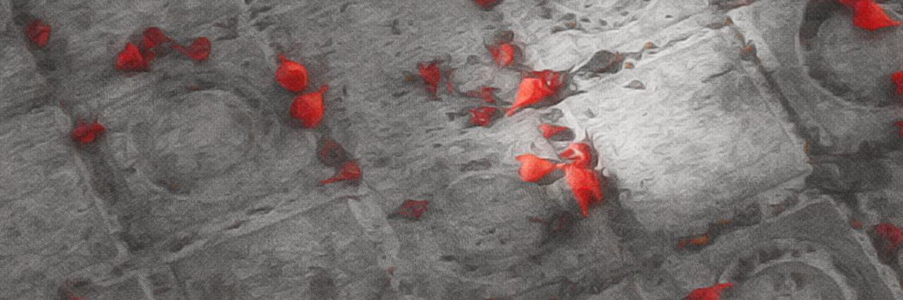 MargaRos1789's profile banner image