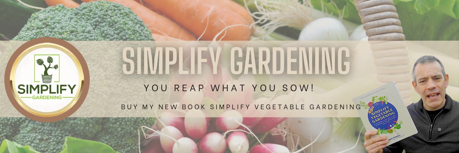 simplifygarden's profile banner image