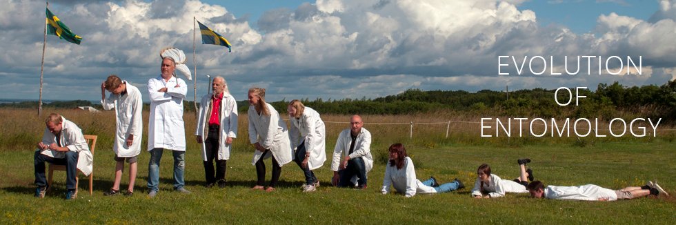 Station Linné banner
