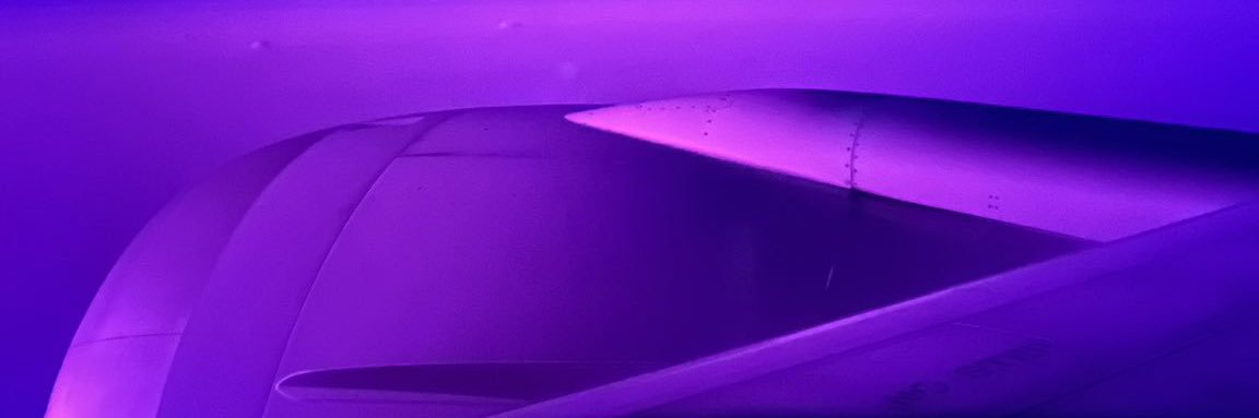 🦖 banner