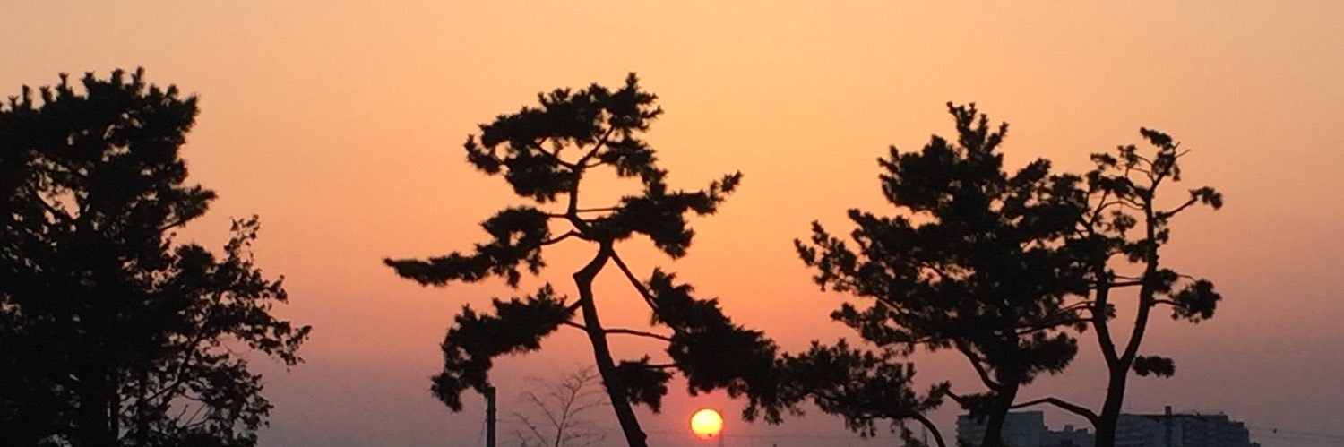apmfmf's profile banner image