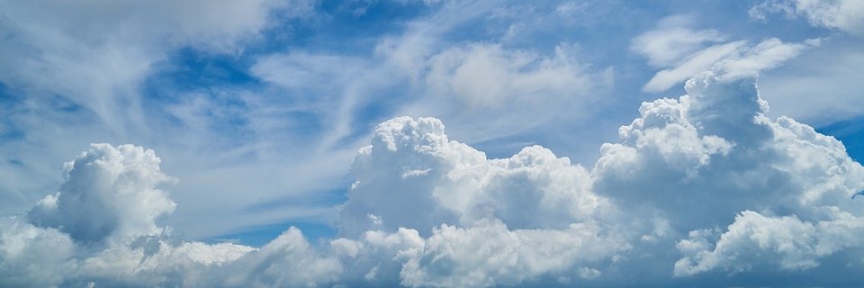 Kara Evanko banner