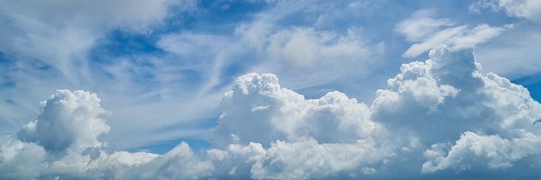 evanko11 Profile Banner