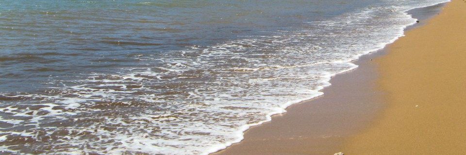 Meaghan Christian banner