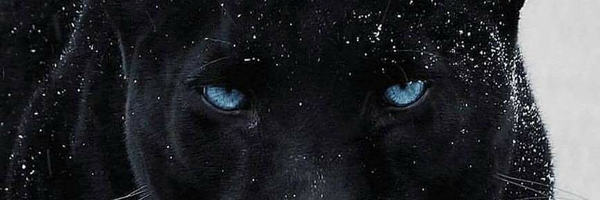 46Jonas's profile banner image