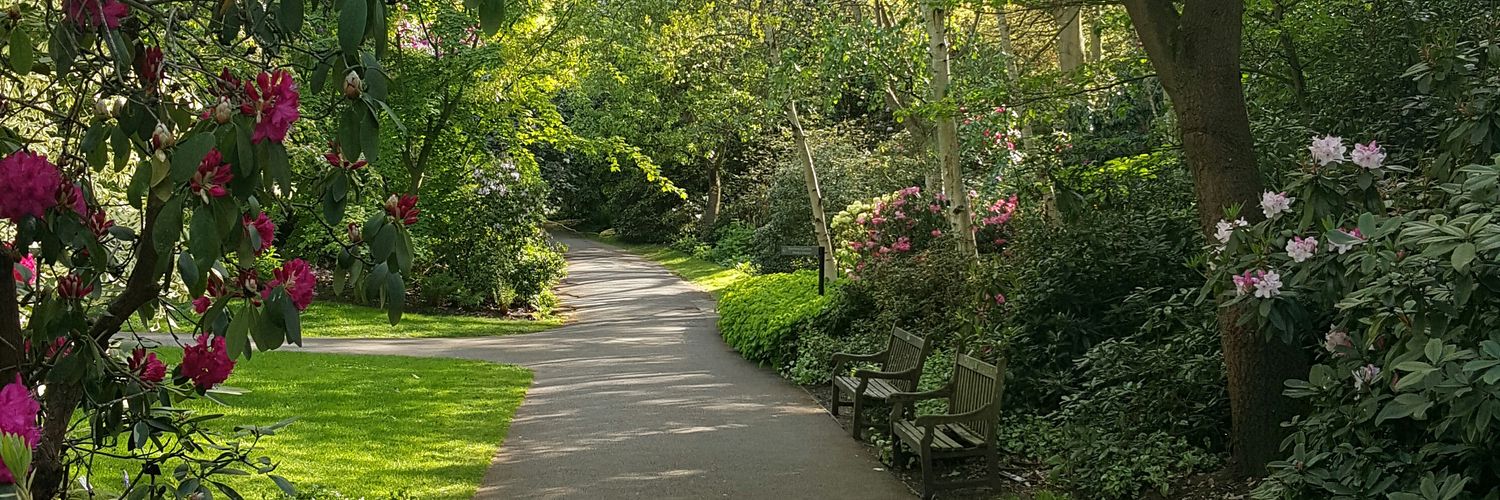 Jeanette Dawa banner