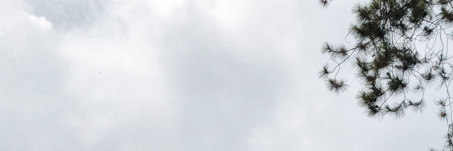 dhozwho's profile banner image