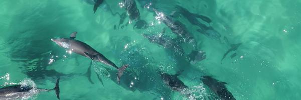 RobHarcourt Profile Banner