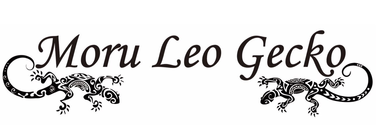 Morph_Leopard's profile banner image