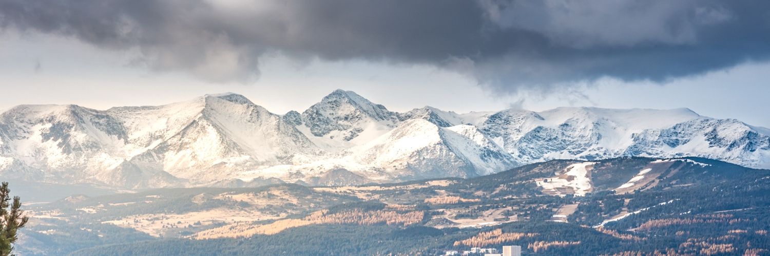 Robin • 🌱📸🎸📚 banner