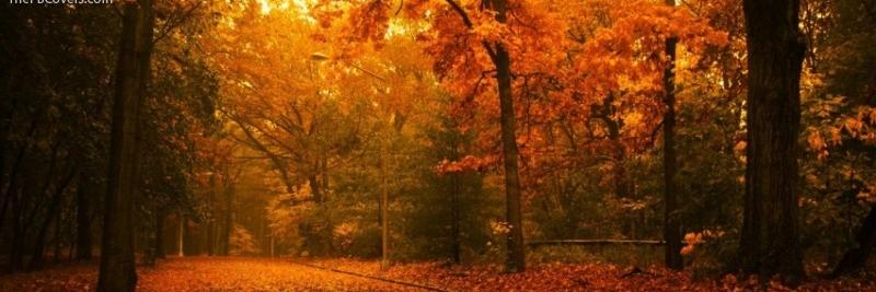LydiaVaughn13's profile banner image