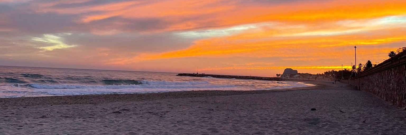 martichickpea banner