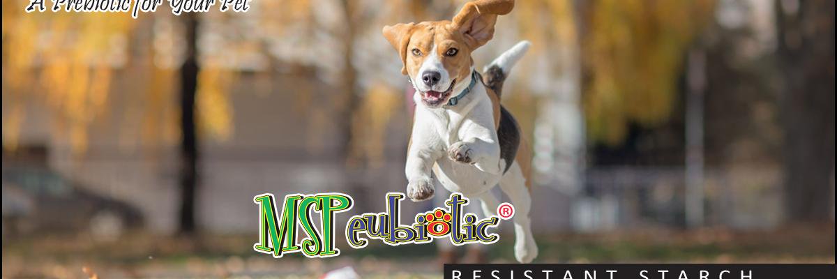 MSPeubiotic's profile banner image