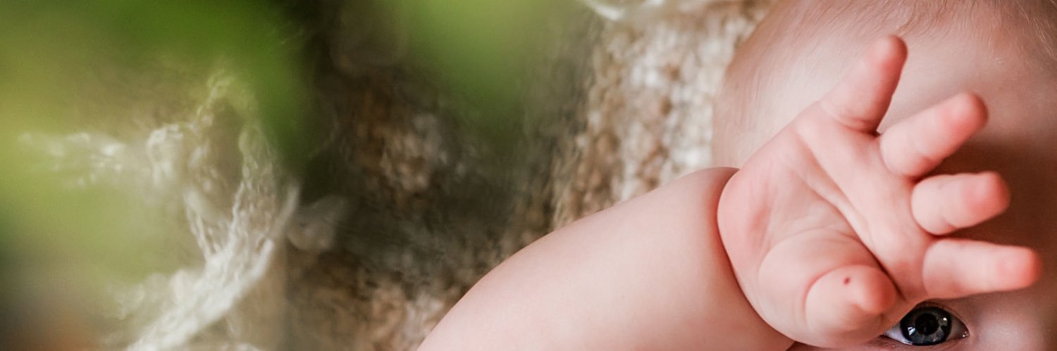 Laura Harris banner