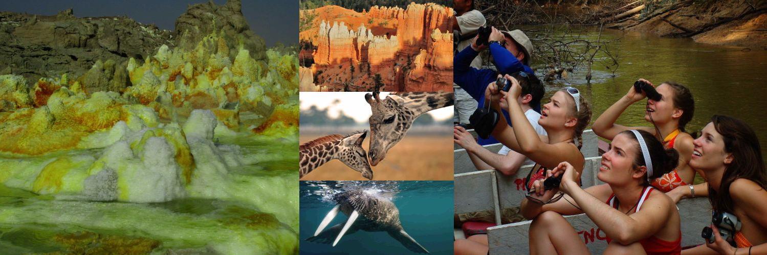 WorldParkTours's profile banner image